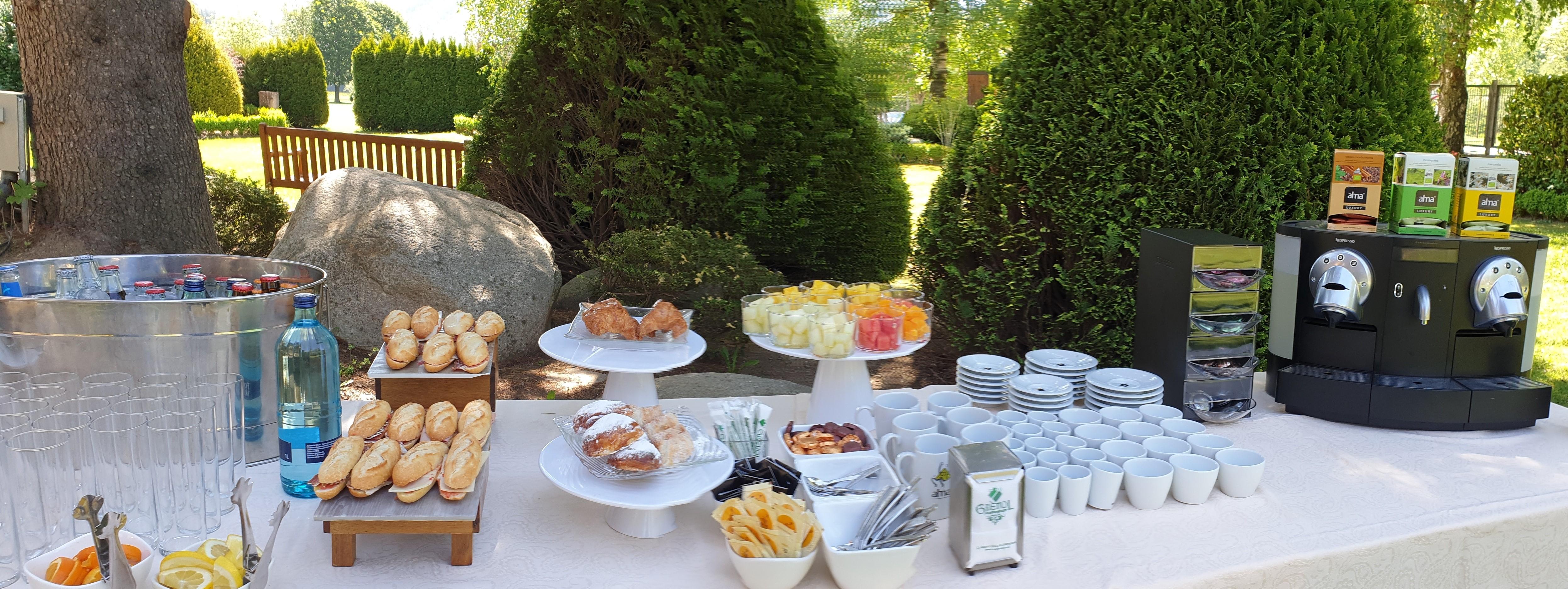 Hotel Grevol Spa Camprodon Eksteriør billede